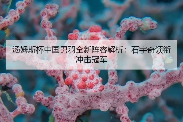 汤姆斯杯中国男羽全新阵容解析：石宇奇领衔冲击冠军